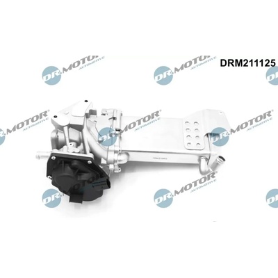 Dr.Motor Automotive AGR ventil DMA DRM211125