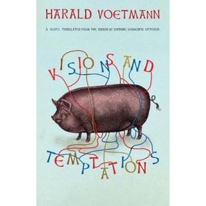 Visions and Temptations | Johanne Sorgenfri Ottosen (ISBN: 9780811229807)