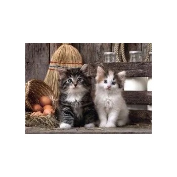 Image 1 of Clementoni Пъзел Сладки котенца 1 000 части