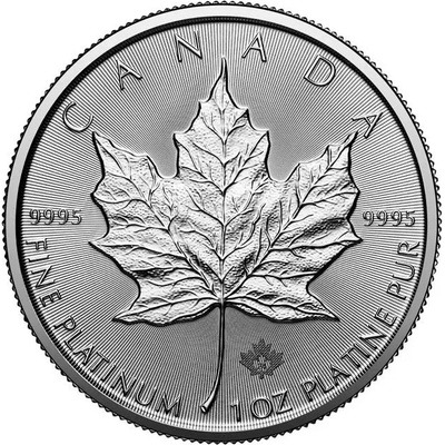 Royal Canadian Mint Platinová mince Maple Leaf 2024 1 oz – Zboží Mobilmania