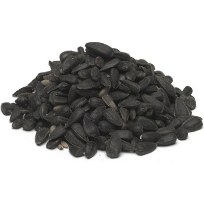 ProfiZoo Slnečnica čierna 2,5 kg