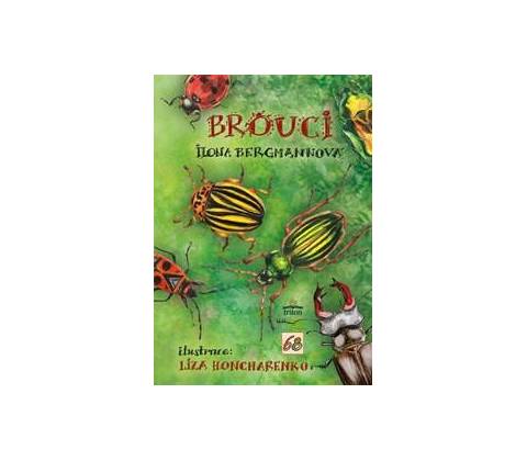 Brouci