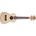 Prodipe Guitars BC25