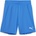 PUMA Teamgoal shorts 152