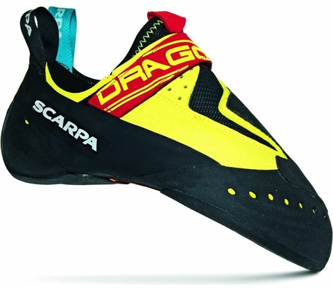 Scapra Drago