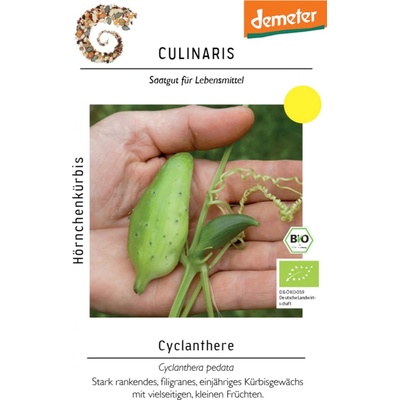 Culinaris Bio ačokča Cyclanthere 1 bal.