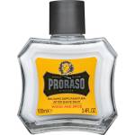 Proraso Wood & Spice balm 100 ml