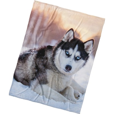 BedTex Deka mikroplyš Pes Sibírsky Husky 150x200