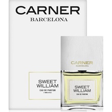 Carner Seet William parfumovaná voda unisex 100 ml