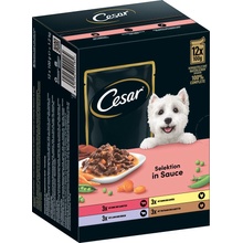 Cesar Selection mäso a zelenina v omáčke 24 x 100 g