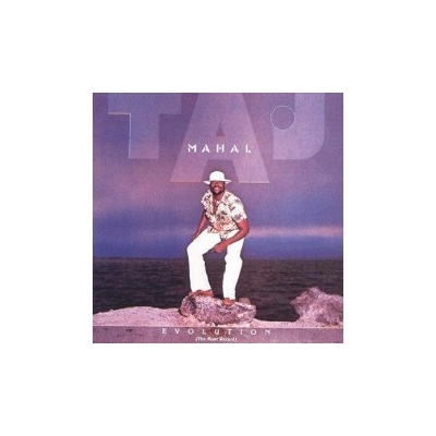 Mahal Taj Evolution Japan CD