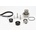 CONTITECH CT975WP1