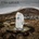 The Wran - The Stone Man CD