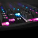 Image 1 of White Shark GK-1925