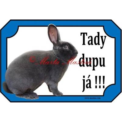 Cedulka králík rex modrý - Se samolepicí vrstvou – Hledejceny.cz