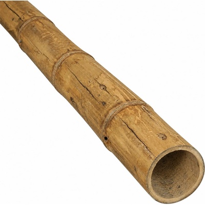 Bambusová tyč Guadua Ø 9-11 cm x 500 cm – II. trieda