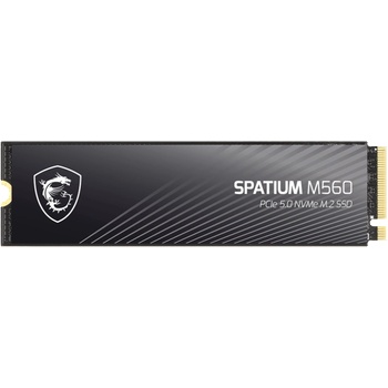 MSI Spatium M560 2TB (S78-440Q940-P83)