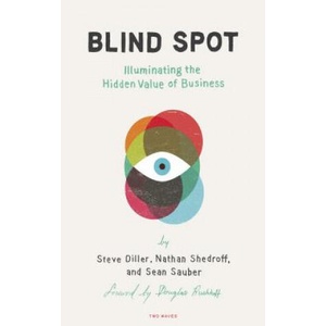 Blind Spot | Steve Diller, Nathan Shedroff, Sean Sauber (ISBN: 9781933820699)