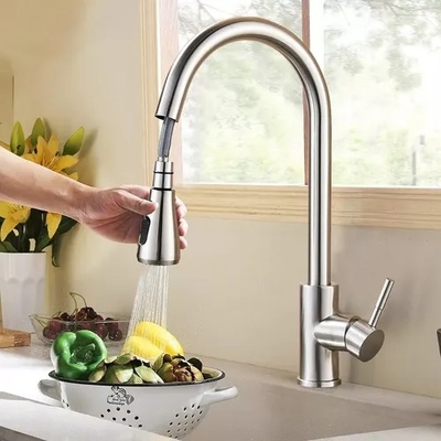 TOYA Смесител за кухня с изтеглящ се душ Рикардо, инокс