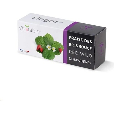 Véritable Lingot Divoké červené jahody