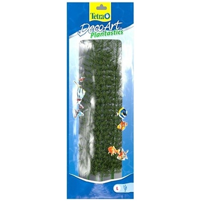Tetra Limnophila sessiliflora (Ambulia) 23 cm