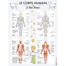 LE CORPS HUMAIN AVEC LE PETIT PRINCE - POSTER