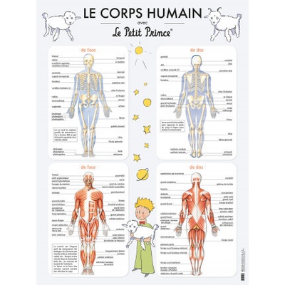 LE CORPS HUMAIN AVEC LE PETIT PRINCE - POSTER