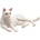 Animal Planet Mojo ANIMAL PLANET, Фигурка за игра и колекциониране, Котка бяла, легнала
