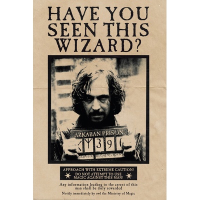 Plagát, Obraz - Harry Potter - Sirius Black, 61 × 91.5 cm