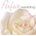 Various : Perfect Wedding CD