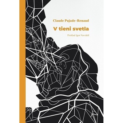 V tieni svetla - Claude Pujade-Renaud