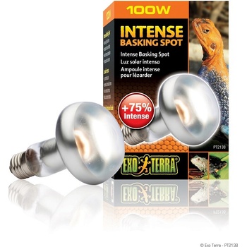 Hagen Exo Terra Intense Basking Spot 100 W