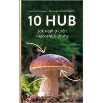 10 hub