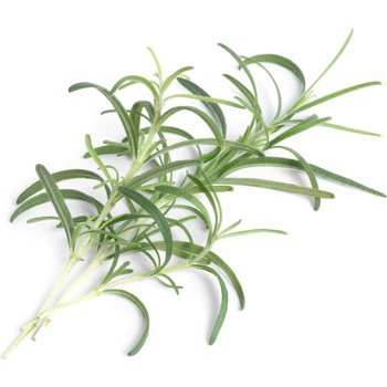 Veritable Вложка за семена Lingot основни билки розмарин (VLIN-A10-Rom007)