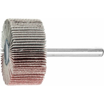 Bibielle RG0281 | Brúsny vejár lamelový so stopkou 40x30-6 mm, Z240