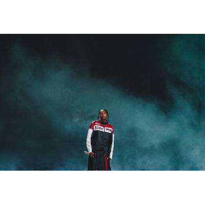 Luke Brennan Plagát, Obraz - Little Simz - Glastonbury Festival, 40 × 26.7 cm