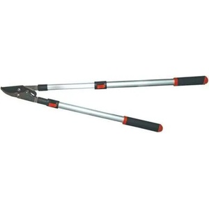 TopGarden 382909