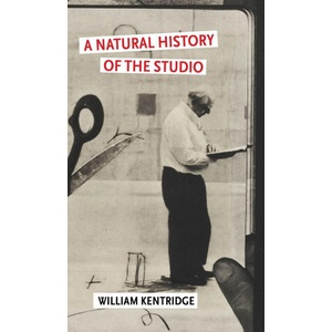 A Natural History of the Studio (ISBN: 9780802167255)