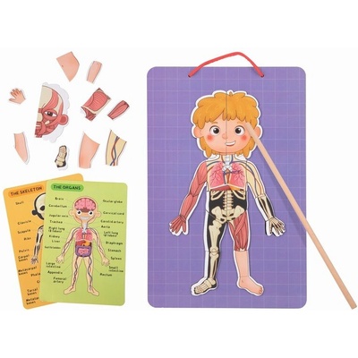 Tooky Toy Магнитна диаграма на човешкото тяло Тh842