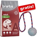 Granule pre psov Briantos Adult Active 14 kg
