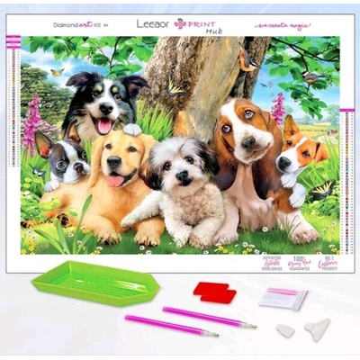 Кучета 40/50 см