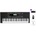 Pianonova Lucerna 350 Standard SET Синтезатор с динамика Black (LC350-STANDARD-SET)