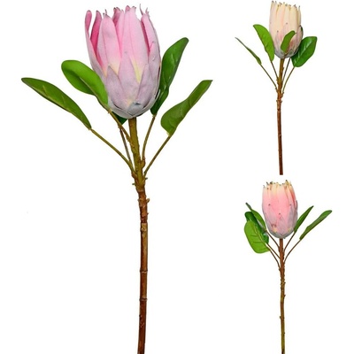 KS PROTEA F3 55cm