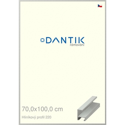 DANTIK rám na obraz 70 x 100 Stříbrná matná