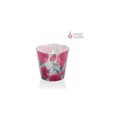 Bartek royal pink & powder pink 115 g