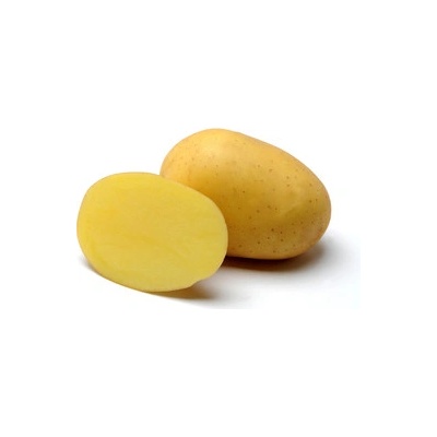 Rané brambory (pytel 25kg)