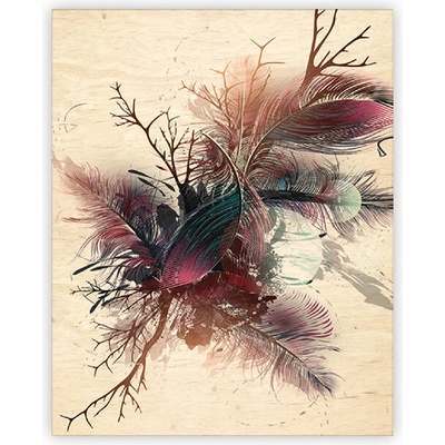 Obraz dřevěný: Feathers, 240 x 300