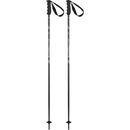 Sjezdové hůlky ELAN Speedrod 2024/25