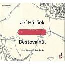 Dešťová hůl
