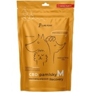 Curepoint CBD pamlsky Immunity M 100 g